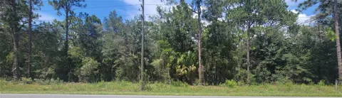 7481 W DUNNELLON ROAD