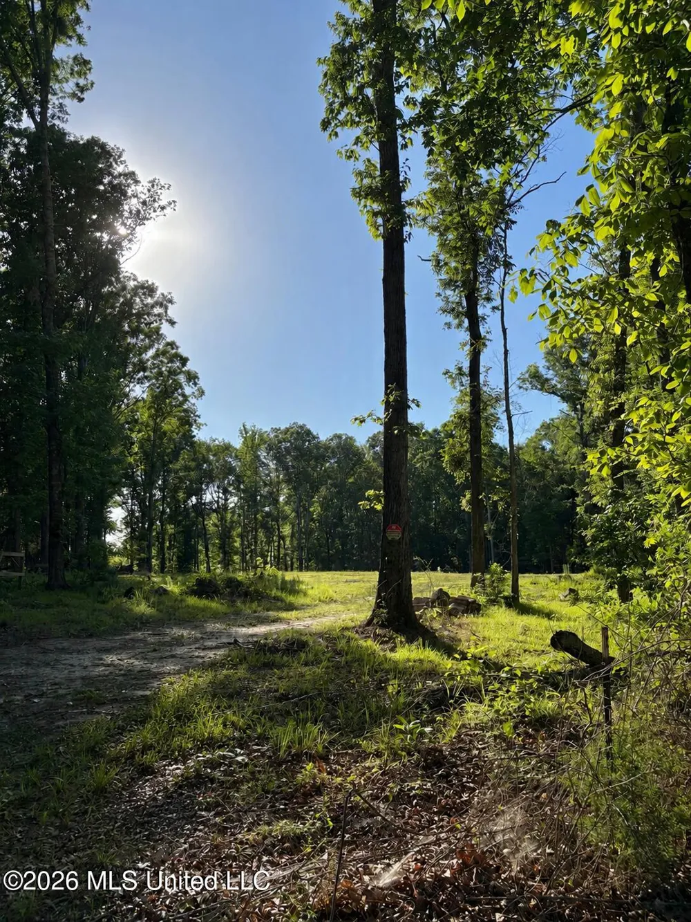 229 Barnes Road Florence, MS 39073