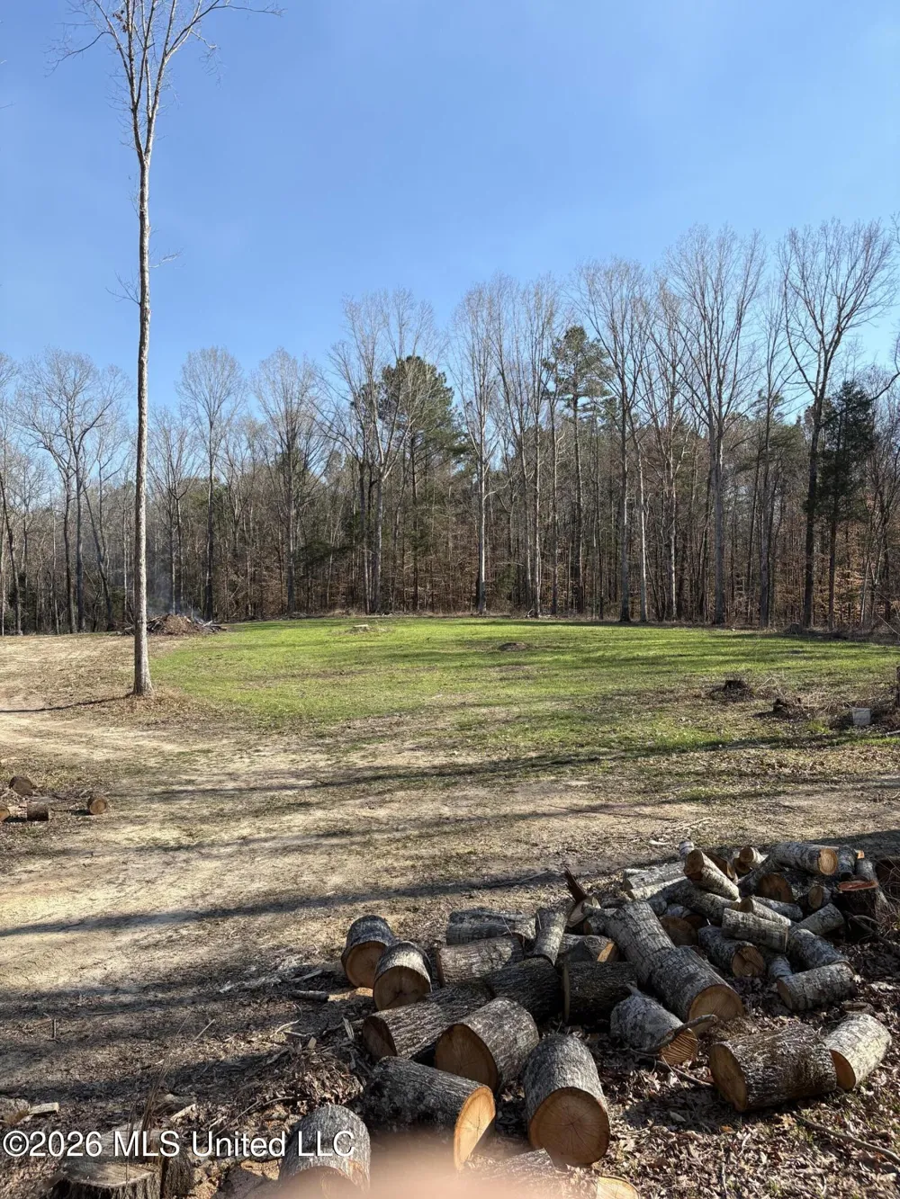 229 Barnes Road Florence, MS 39073