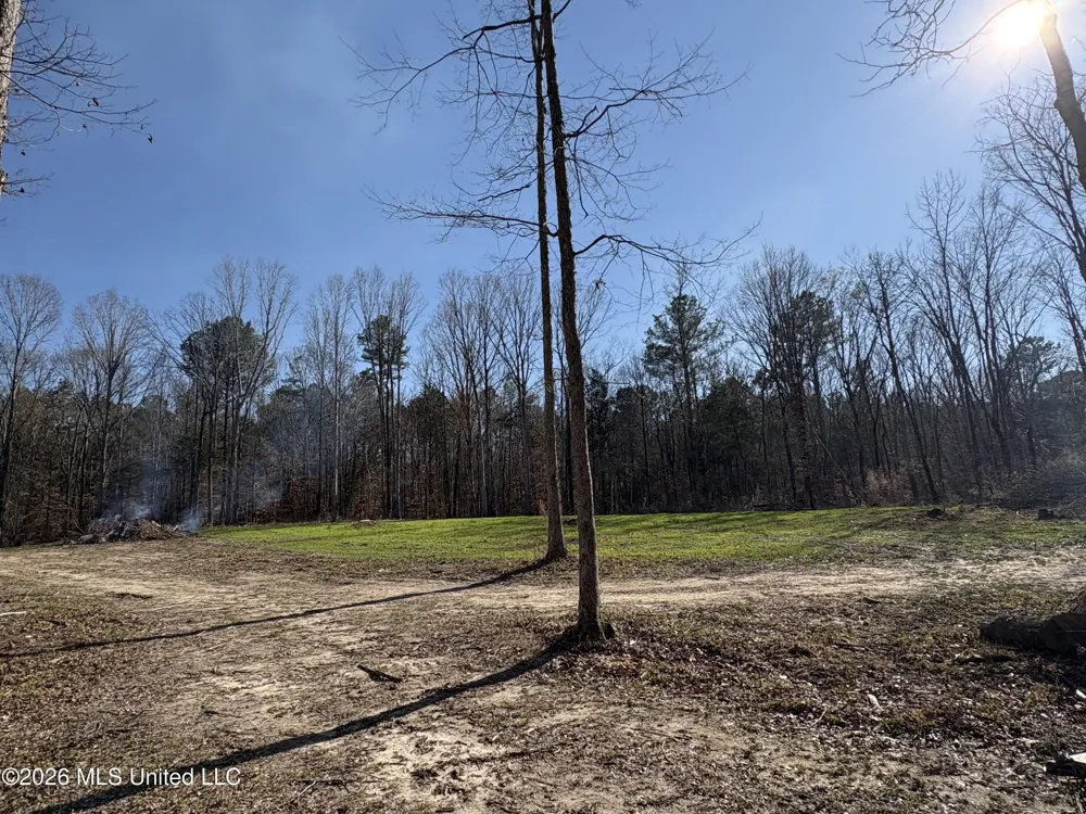 229 Barnes Road Florence, MS 39073