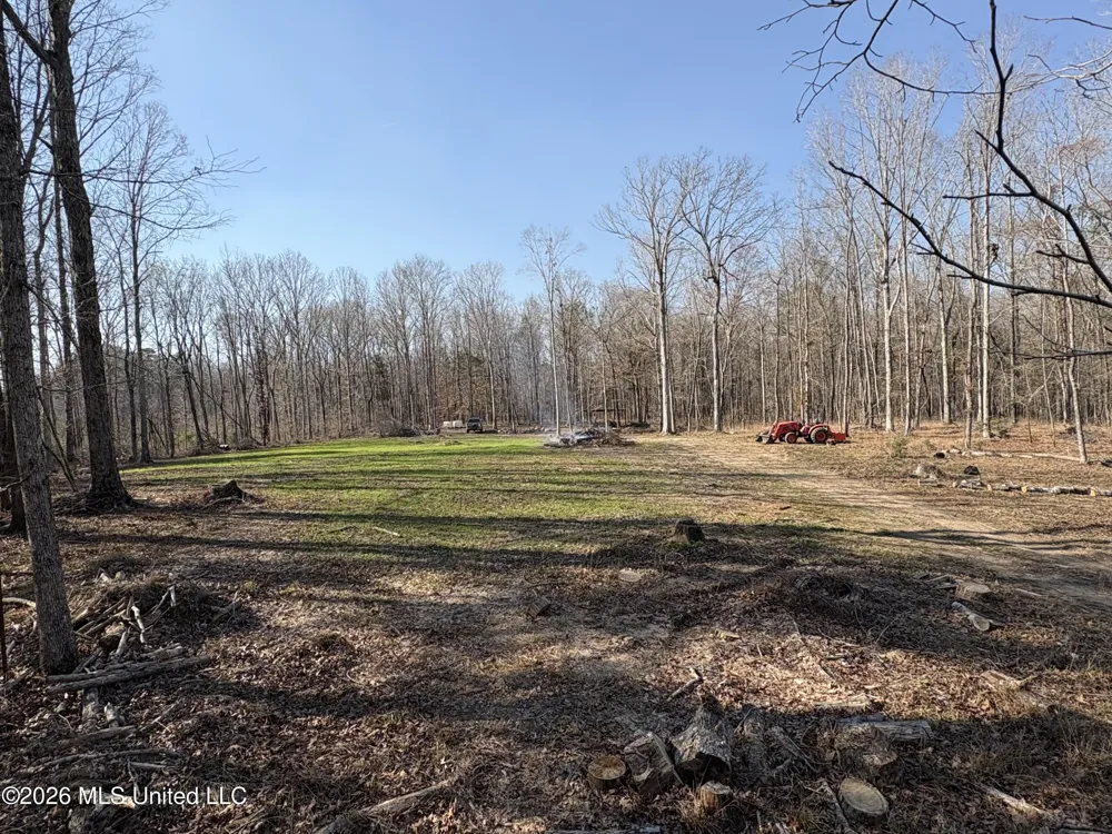 229 Barnes Road Florence, MS 39073