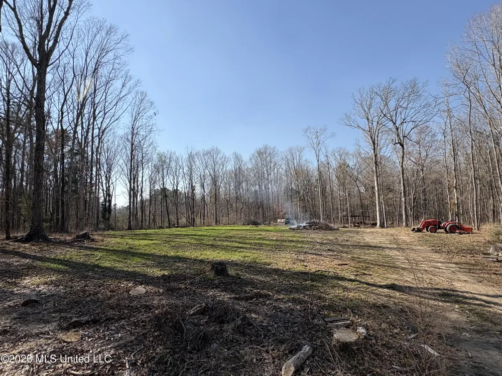 229 Barnes Road Florence, MS 39073