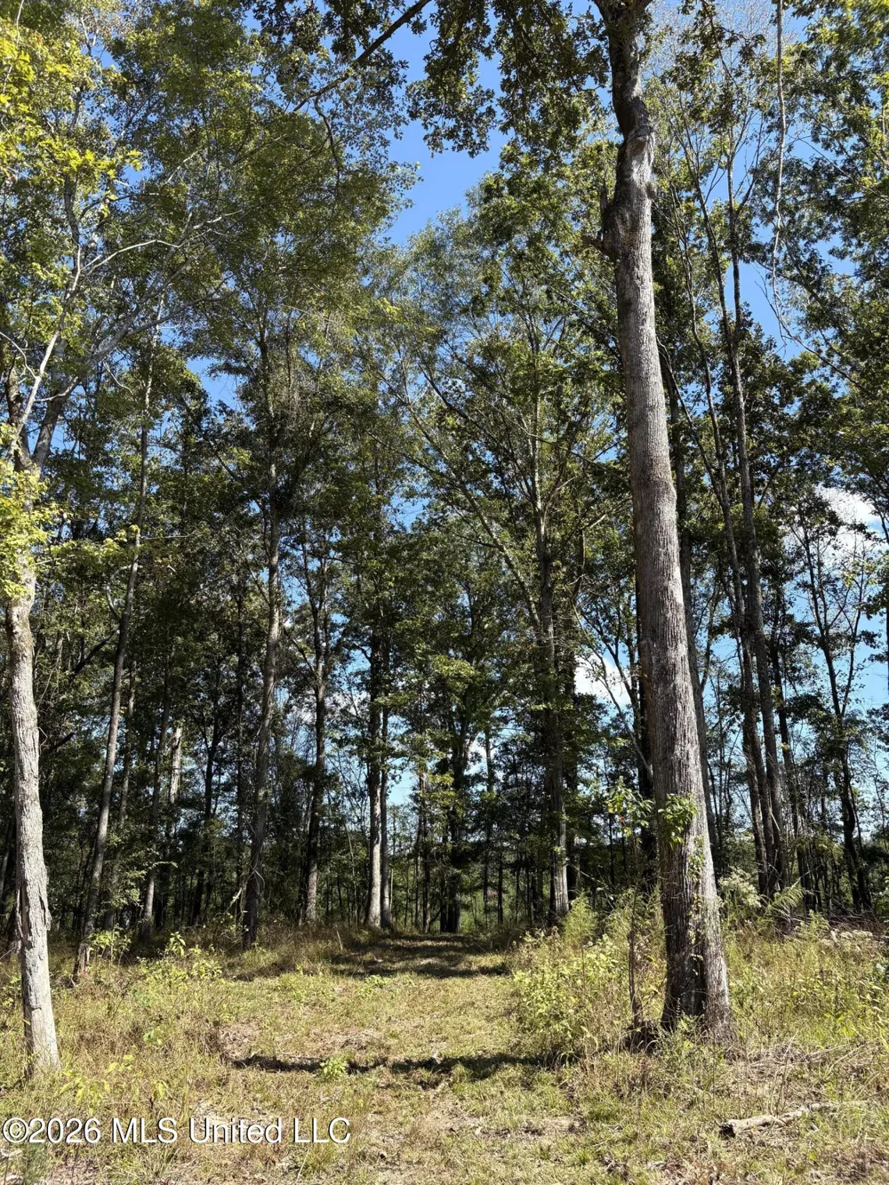 229 Barnes Road Florence, MS 39073