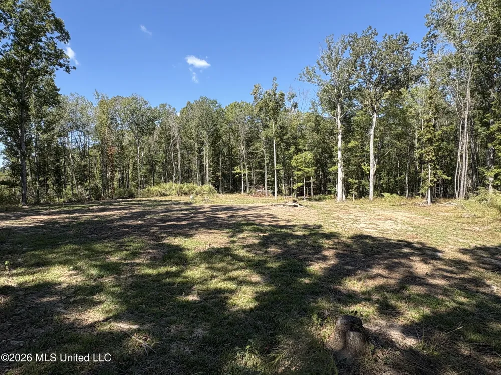 229 Barnes Road Florence, MS 39073