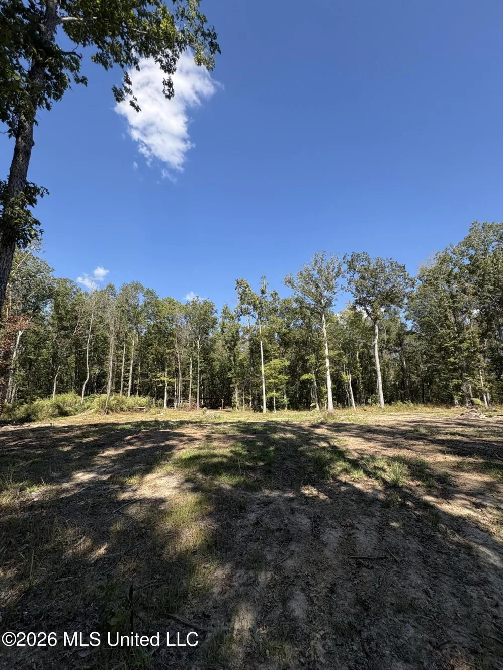 229 Barnes Road Florence, MS 39073