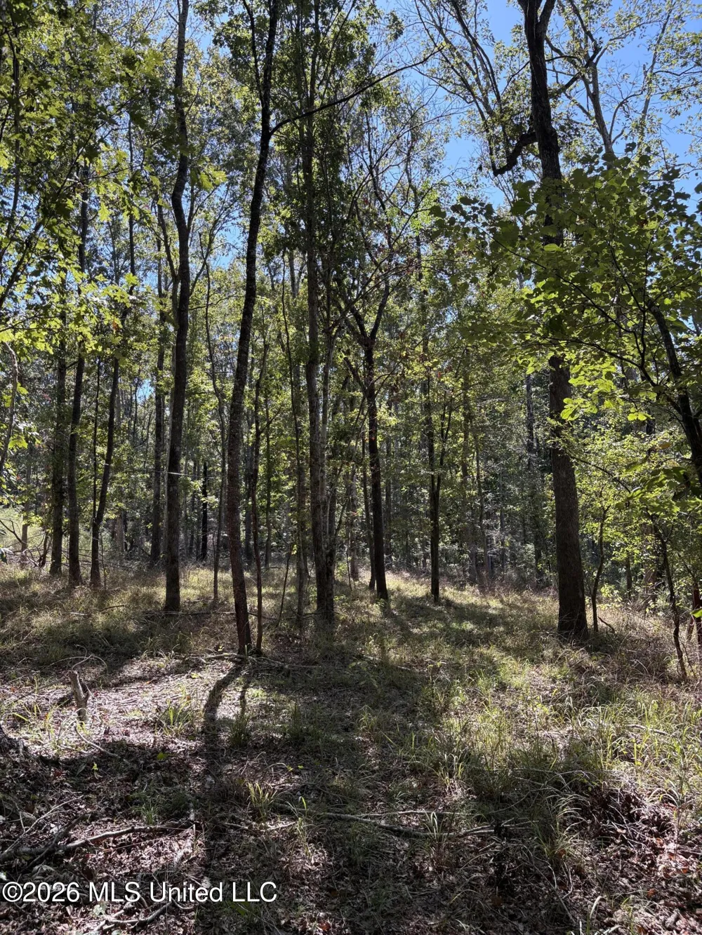 229 Barnes Road Florence, MS 39073