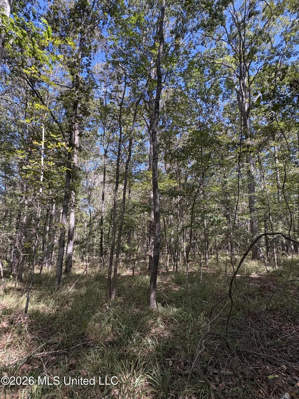 229 Barnes Road Florence, MS 39073