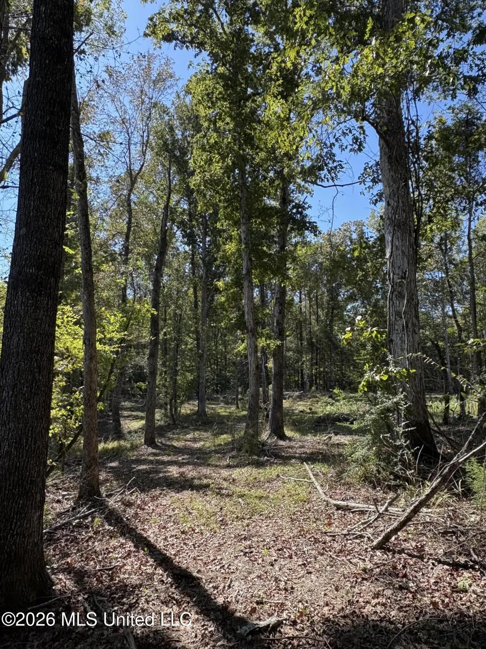 229 Barnes Road Florence, MS 39073