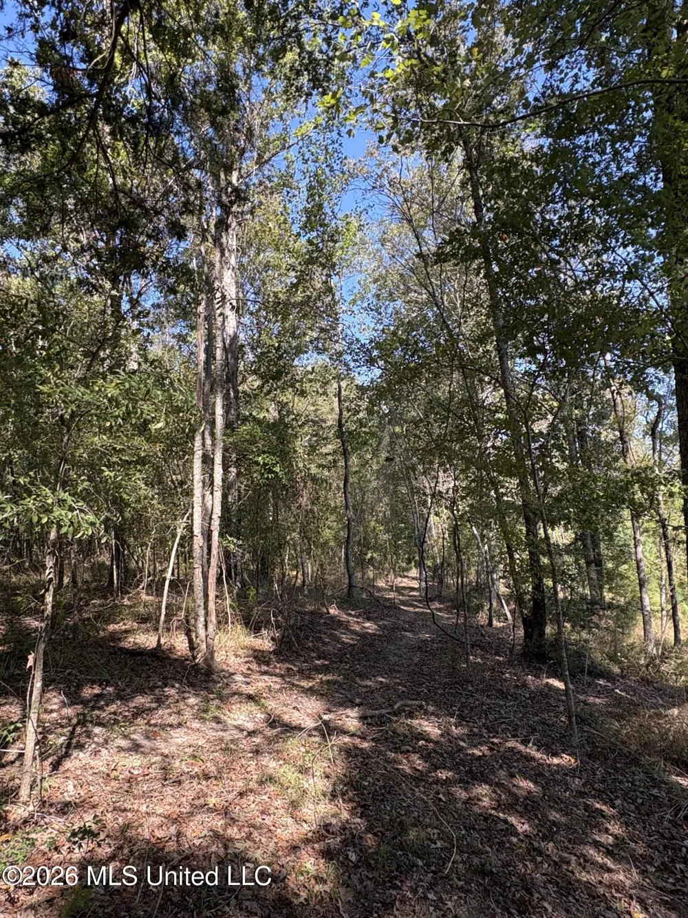 229 Barnes Road Florence, MS 39073