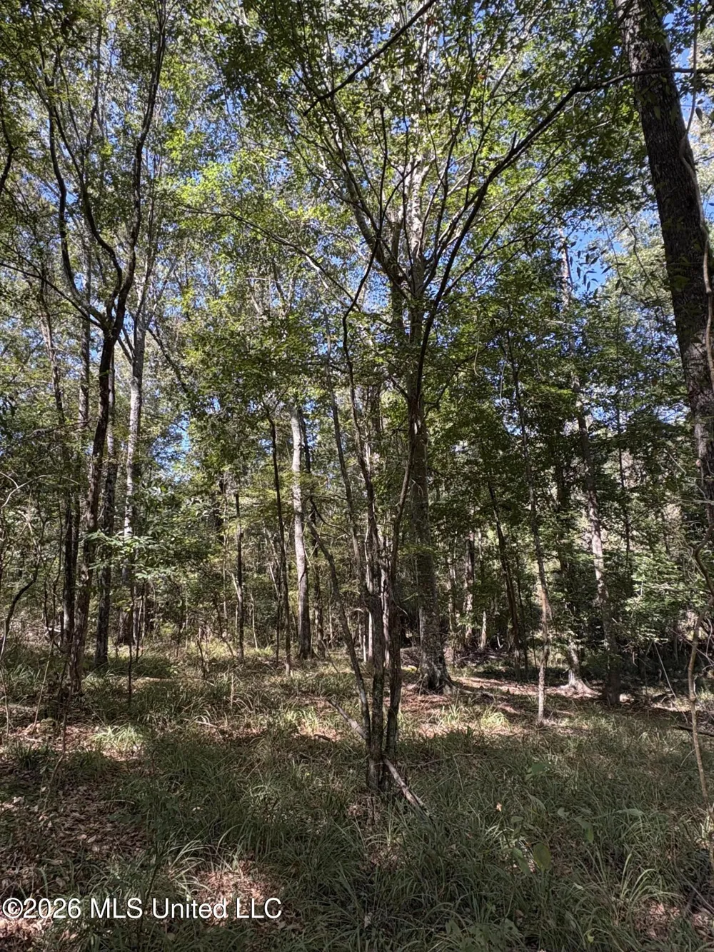229 Barnes Road Florence, MS 39073