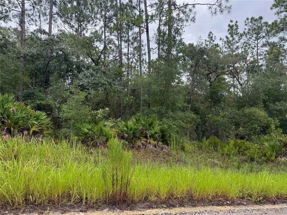 175 COURT Dunnellon, FL 34432