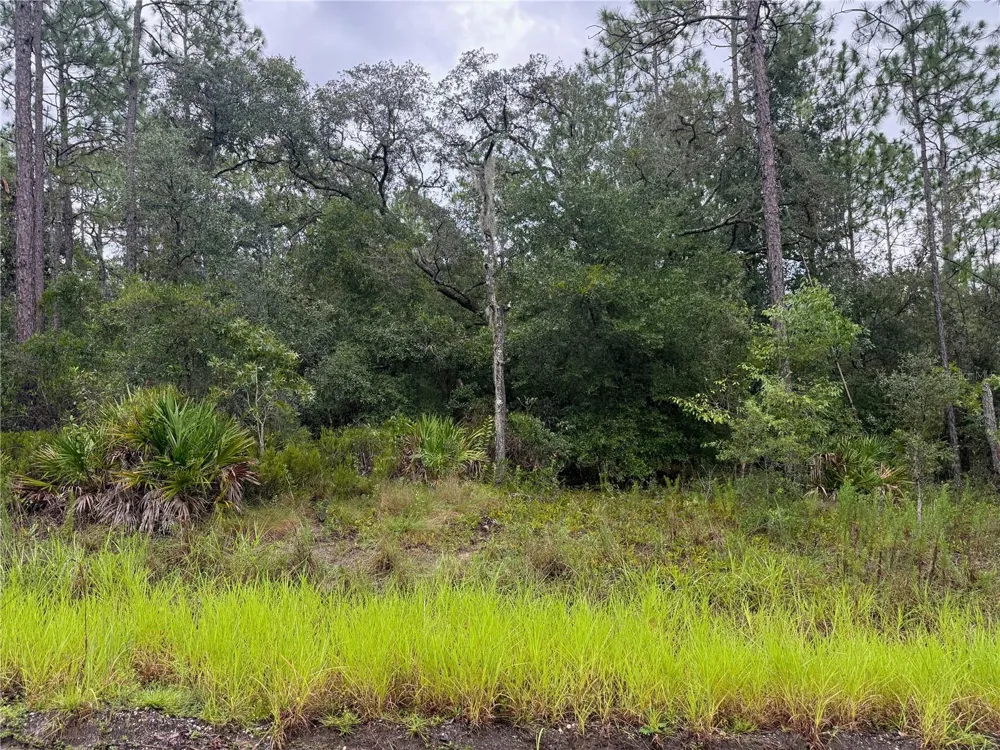 175 COURT Dunnellon, FL 34432