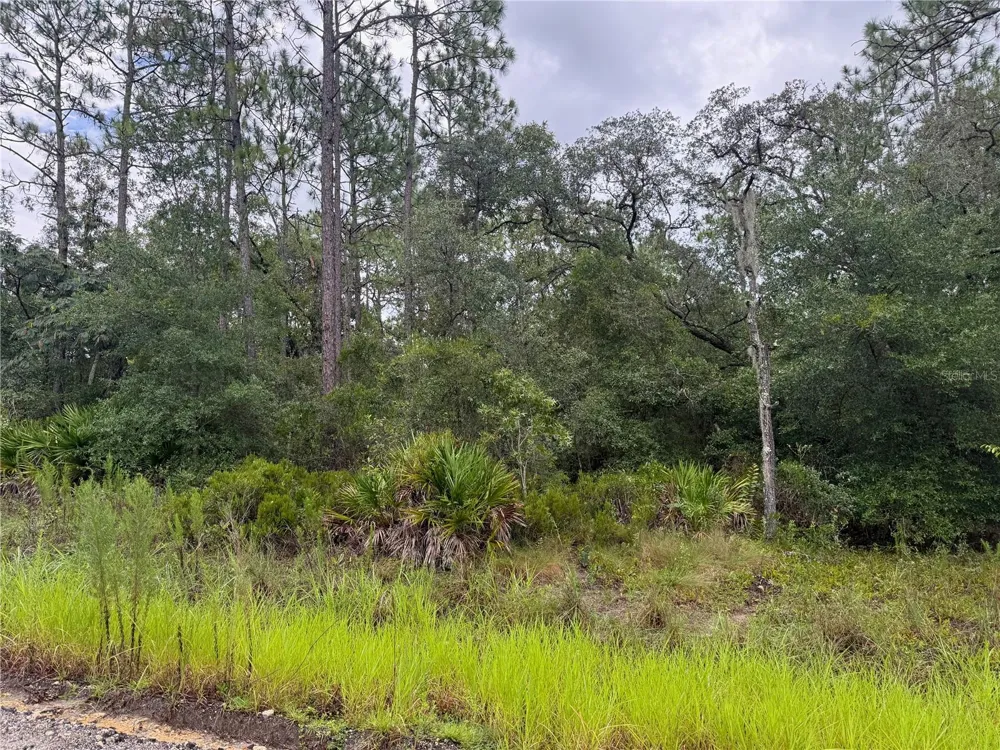 175 COURT Dunnellon, FL 34432