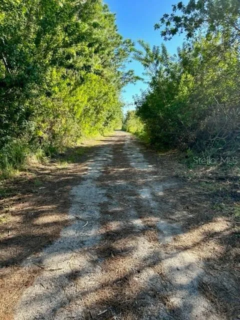 806 W ARIEL ROAD Edgewater, FL 32141