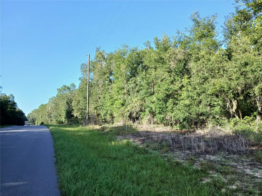 10762 ACADEMY DRIVE Citrus Springs, FL 34434