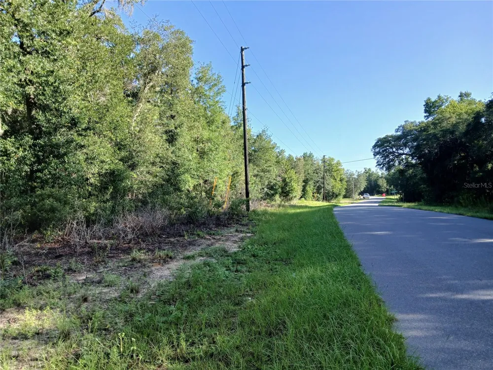 10762 ACADEMY DRIVE Citrus Springs, FL 34434