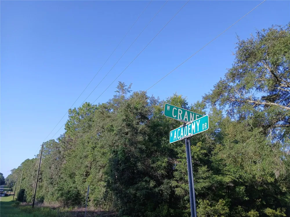 10762 ACADEMY DRIVE Citrus Springs, FL 34434