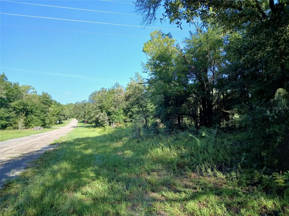 10762 ACADEMY DRIVE Citrus Springs, FL 34434