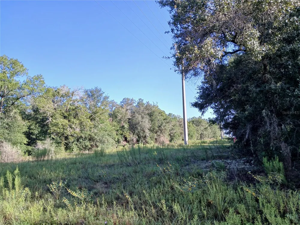 10762 ACADEMY DRIVE Citrus Springs, FL 34434