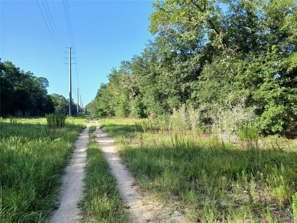 10762 ACADEMY DRIVE Citrus Springs, FL 34434