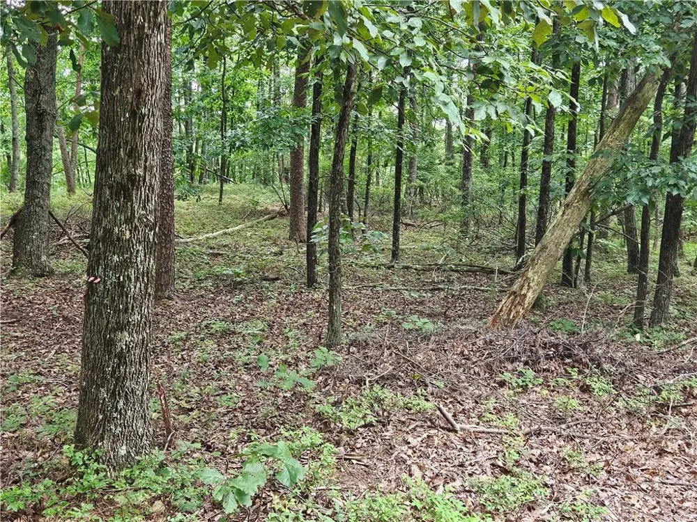 1467 Hanna Drive Ranger, GA 30734