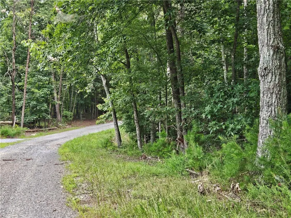 1467 Hanna Drive Ranger, GA 30734