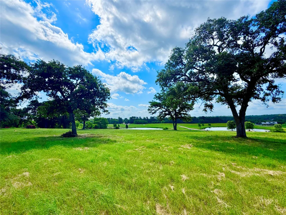 309 Grand View Drive Athens, TX 75752