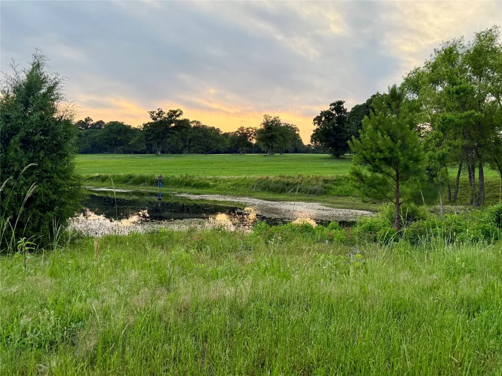 309 Grand View Drive Athens, TX 75752