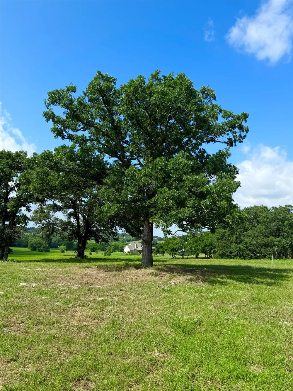 309 Grand View Drive Athens, TX 75752