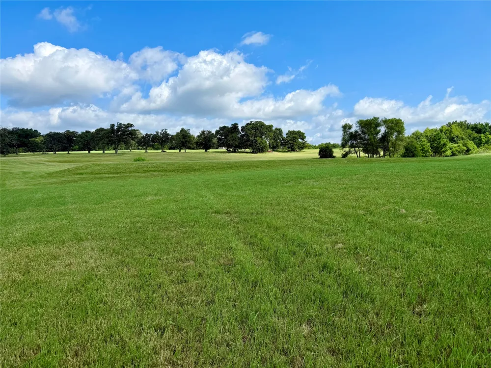 309 Grand View Drive Athens, TX 75752