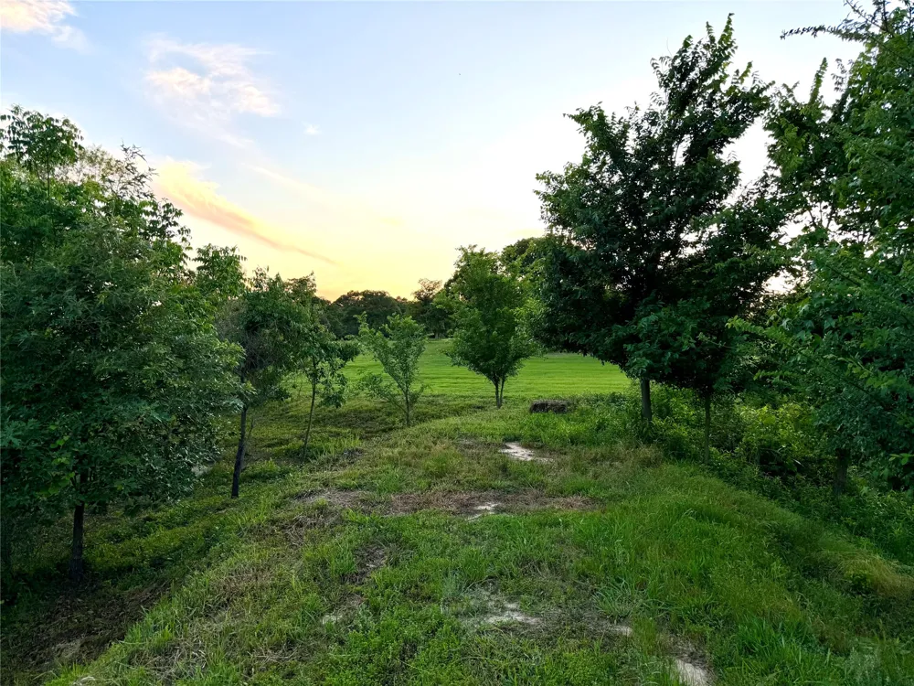309 Grand View Drive Athens, TX 75752