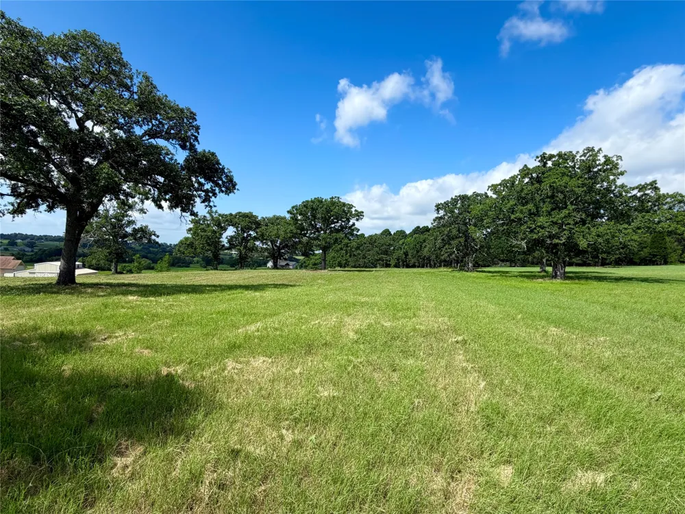 309 Grand View Drive Athens, TX 75752