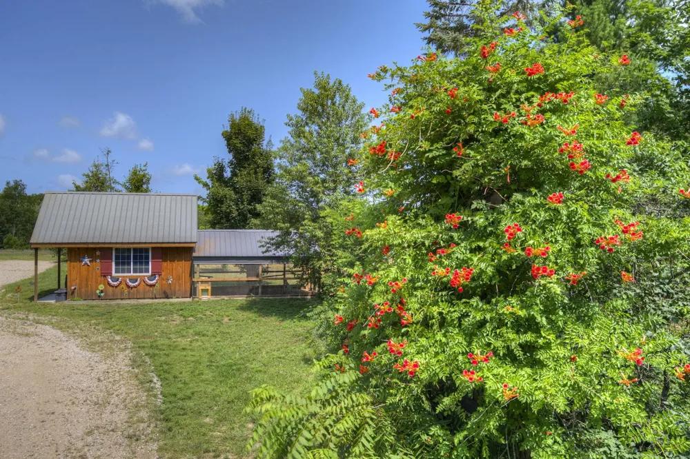 2625 Walton Road Paradise Township, MI 49649