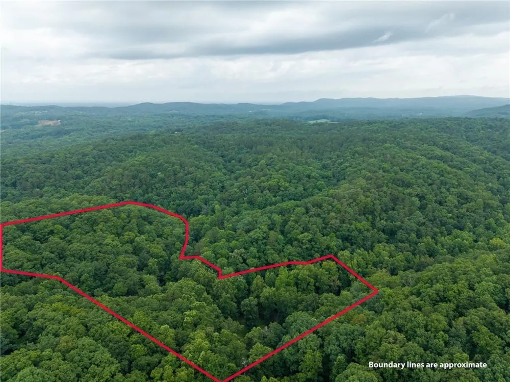 1117 Rambling Road Fairmount, GA 30139