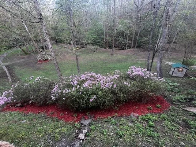 1117 Rambling Road Fairmount, GA 30139