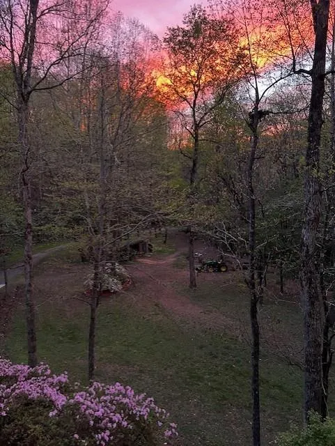 1117 Rambling Road Fairmount, GA 30139