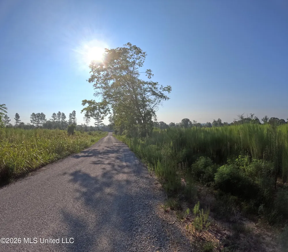 Sinclair Road Columbia, MS 39429