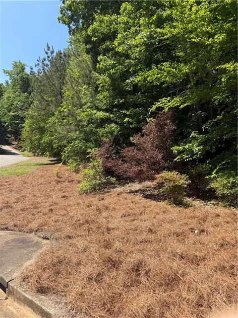 702 Windsor Estates Way