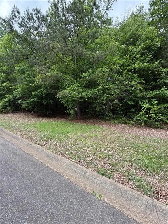 702 Windsor Estates Way Canton, GA 30115
