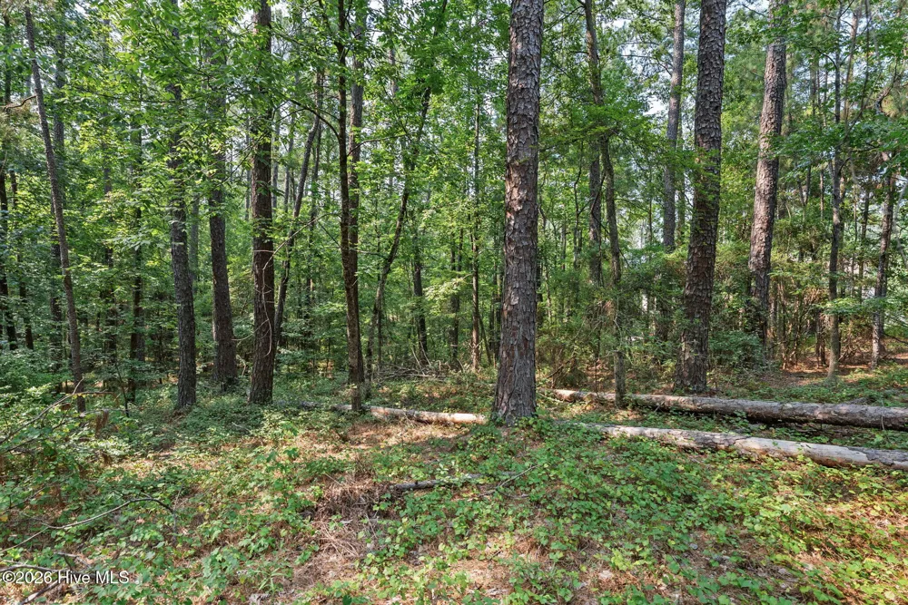 312 Melanie Lane Mccormick, SC 29835