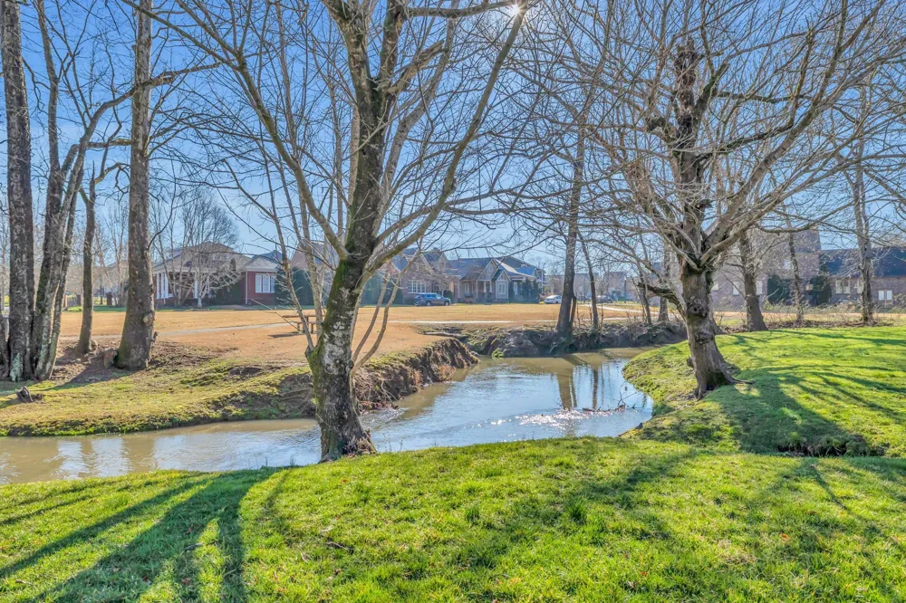 3477 Milford Dr Thompsons Station, TN 37179