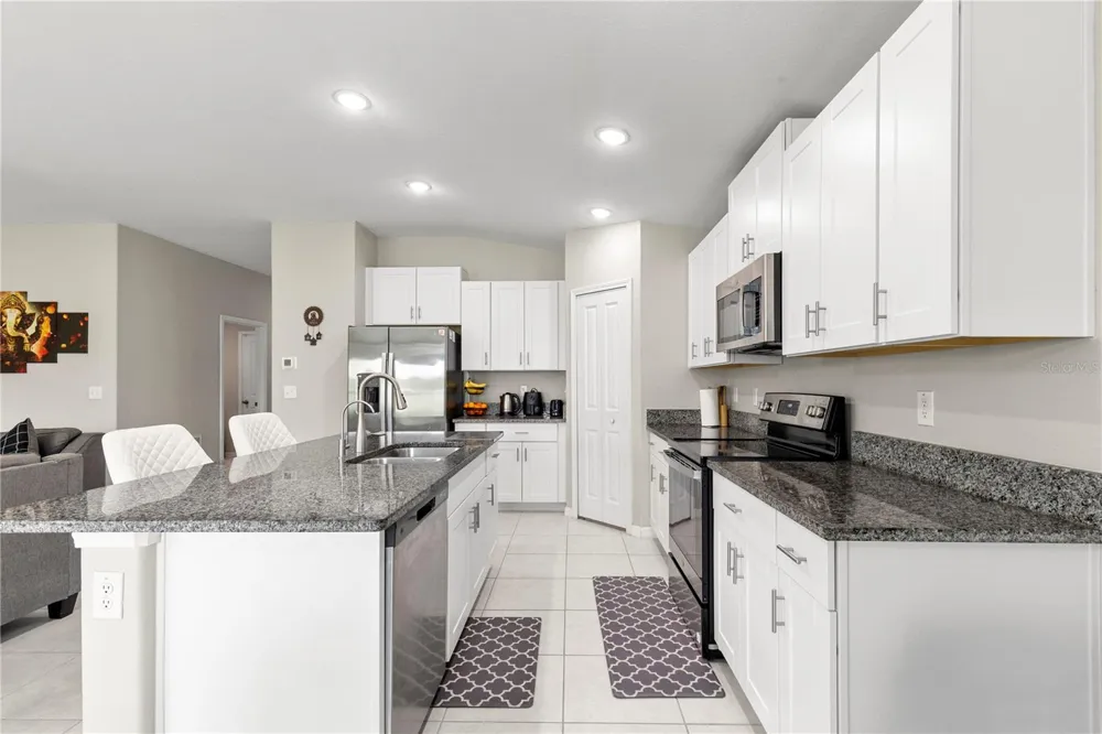 31664 SUN KETTLE LOOP Wesley Chapel, FL 33545