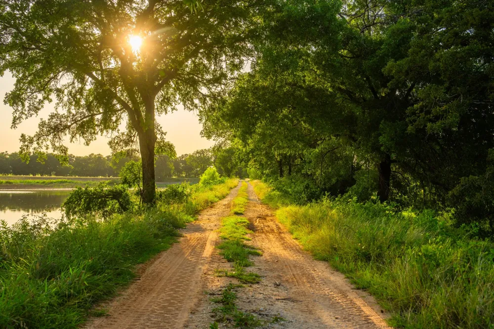 8606 Star Hollow Road Lipan, TX 76462