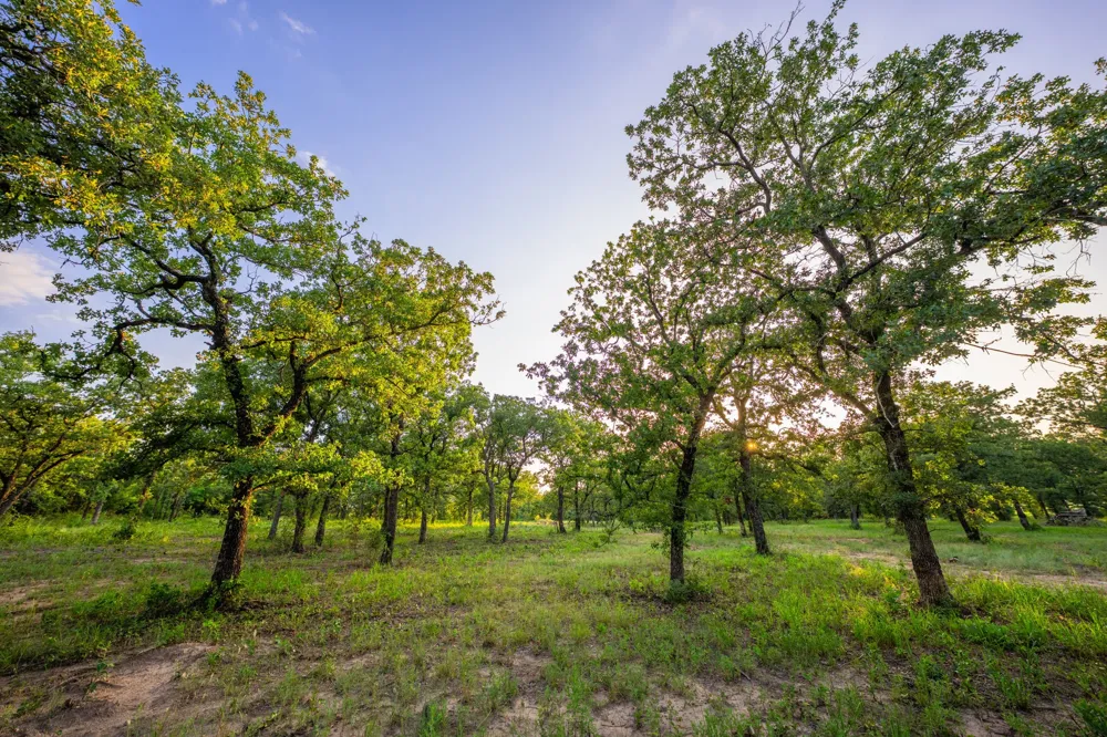 8606 Star Hollow Road Lipan, TX 76462