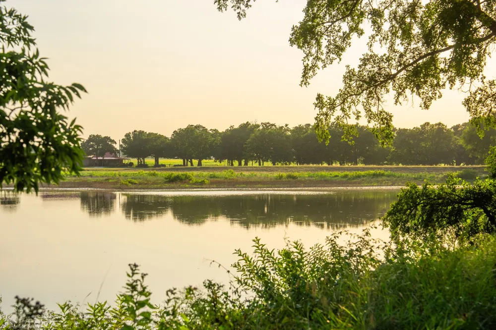 8606 Star Hollow Road Lipan, TX 76462
