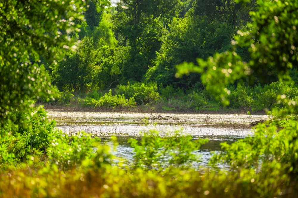 8606 Star Hollow Road Lipan, TX 76462