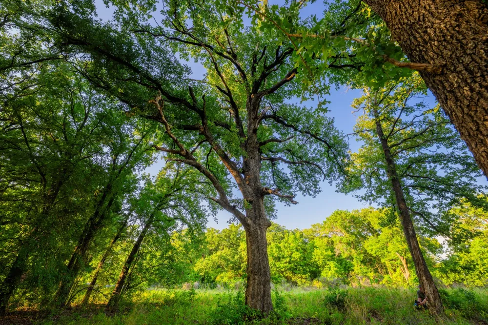 8606 Star Hollow Road Lipan, TX 76462