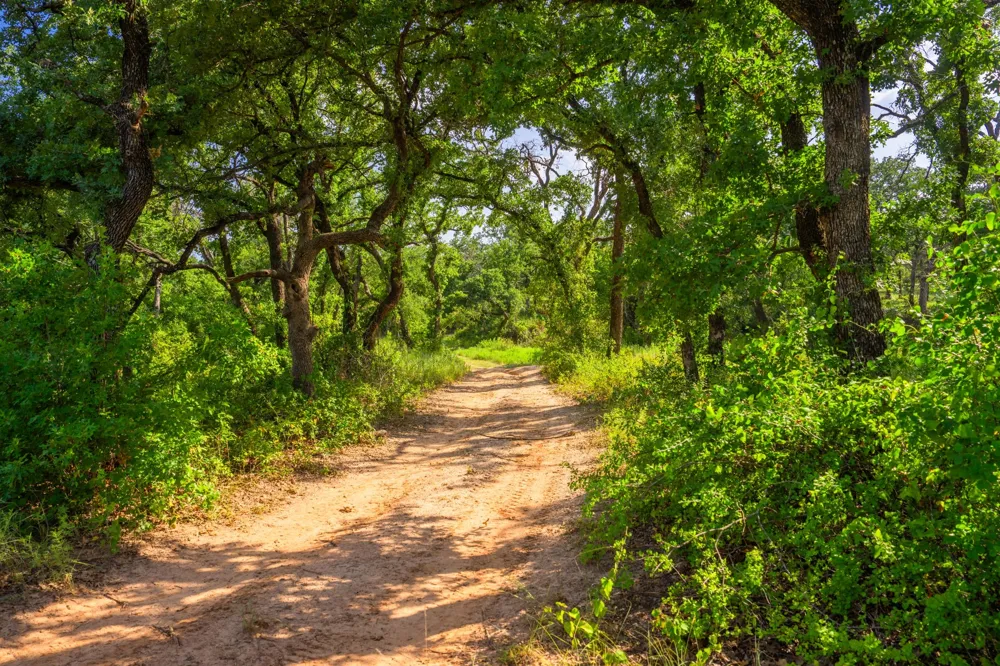 8606 Star Hollow Road Lipan, TX 76462
