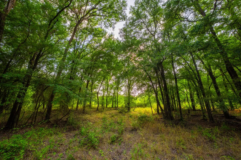 8606 Star Hollow Road Lipan, TX 76462