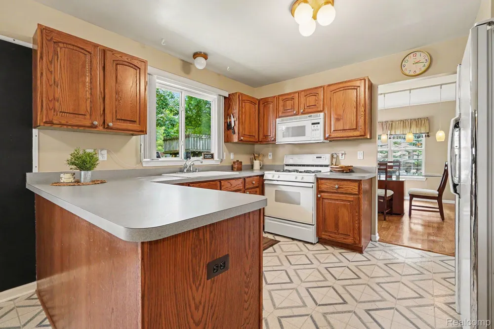 6290 Waldon Woods Drive Independence Charter Township, MI 48346